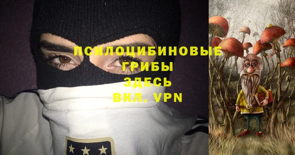 стафф Зеленокумск
