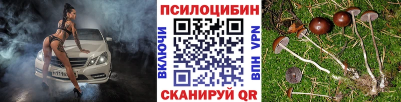 Псилоцибиновые грибы прущие грибы shop официальный сайт Данков